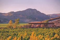 Santa Barbara Chardonnay