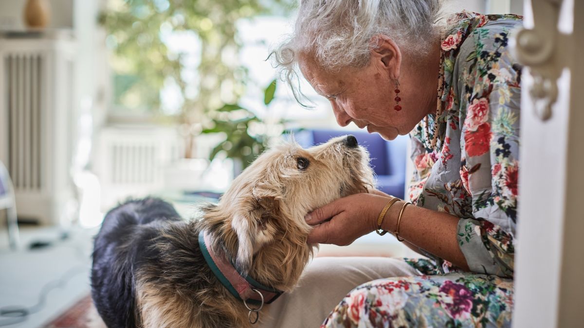 Want to improve your dog’s behavior? Trainer reveals the one thing you need to do (and it’s a game-changer!)