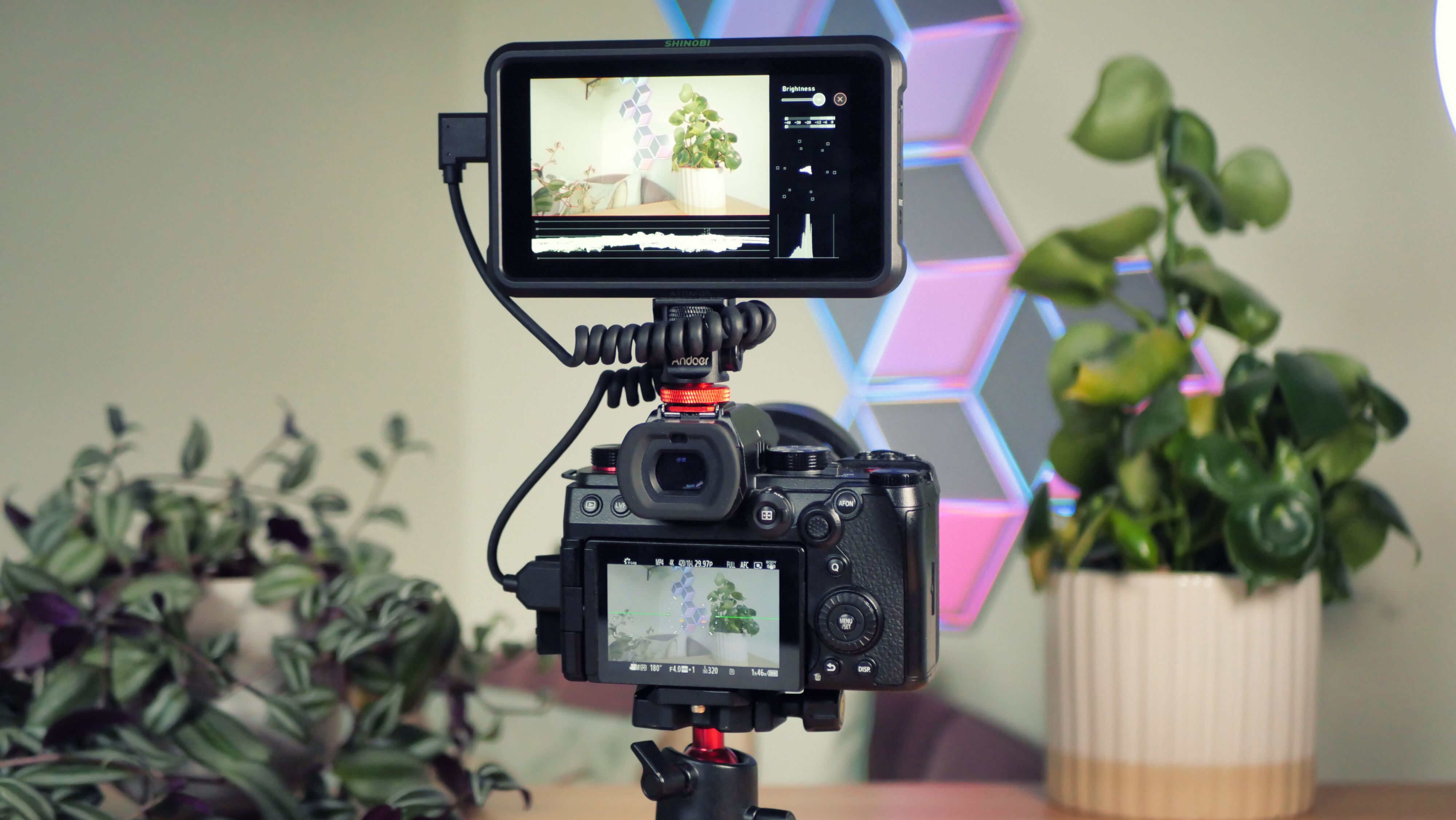 Atomos Shinobi on-camera monitor mounted on a Panasonic mirrorless camera