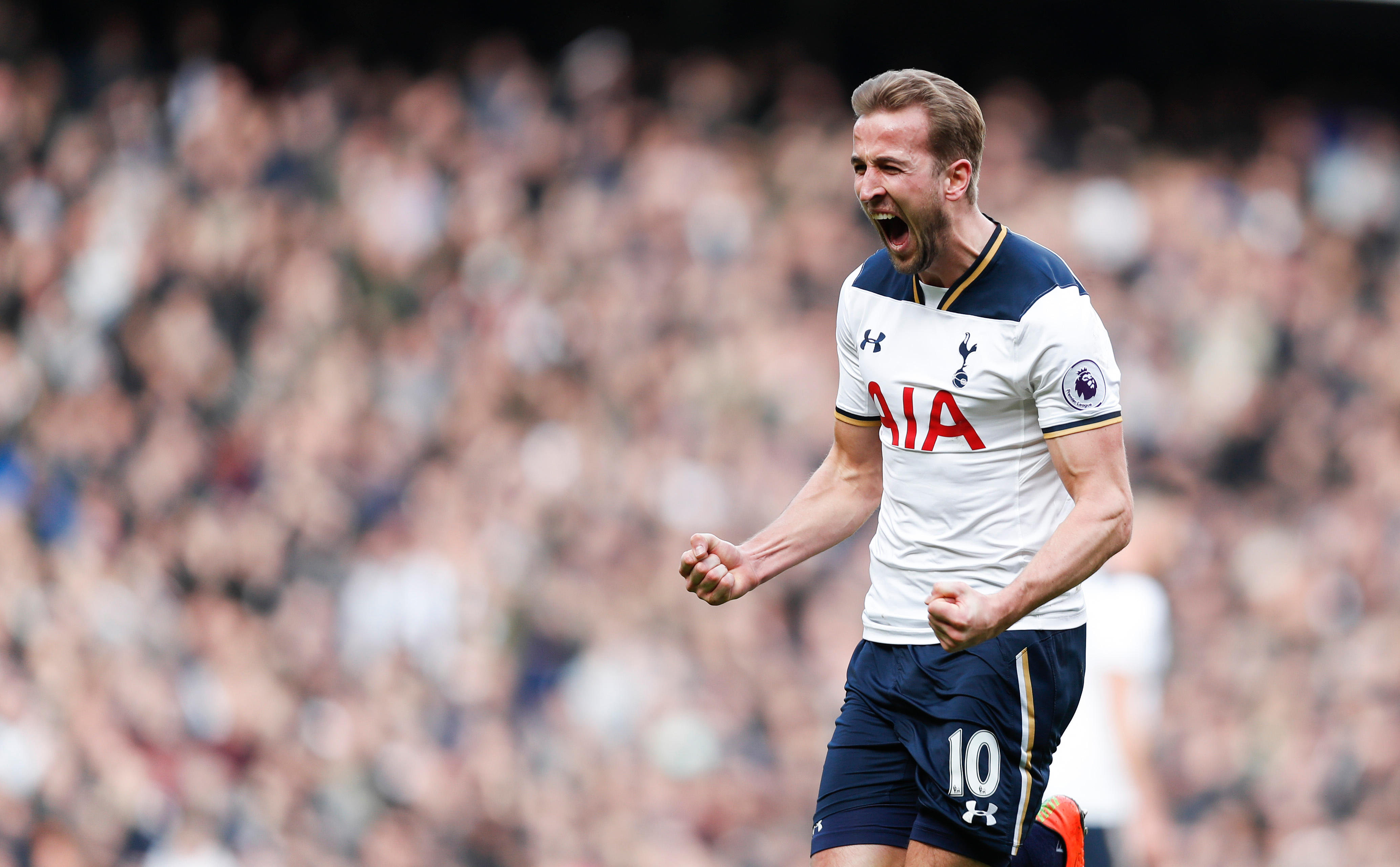 Harry Kane celebrates after scoring for Tottenham, 2017