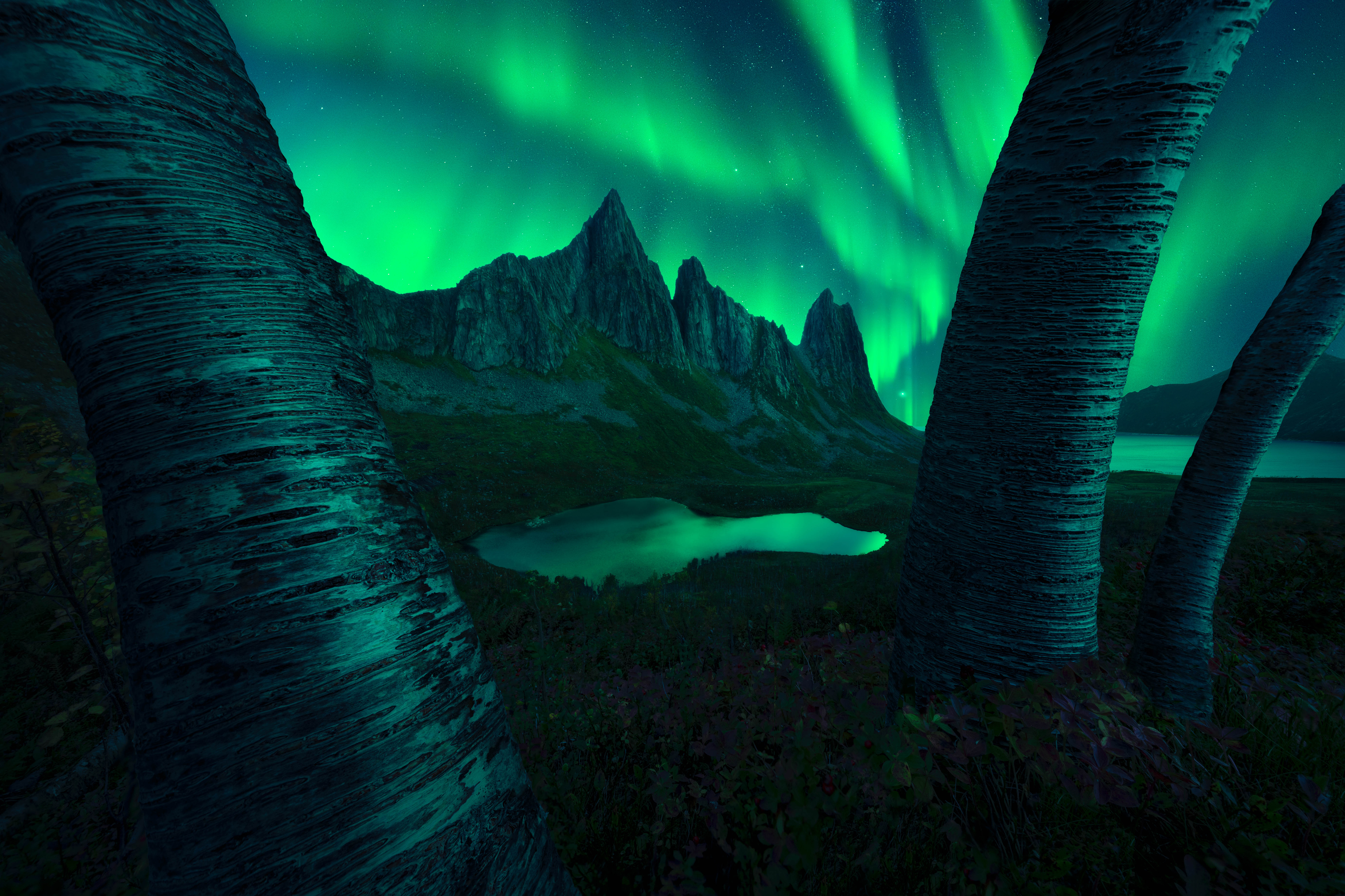 Northern lights of green and yellow dance across a dark night sky
