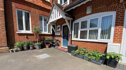 Front garden with greenery and plants