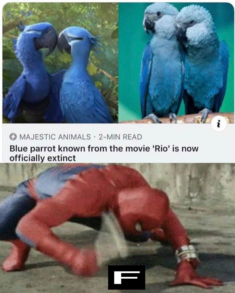 Press F to pay respects