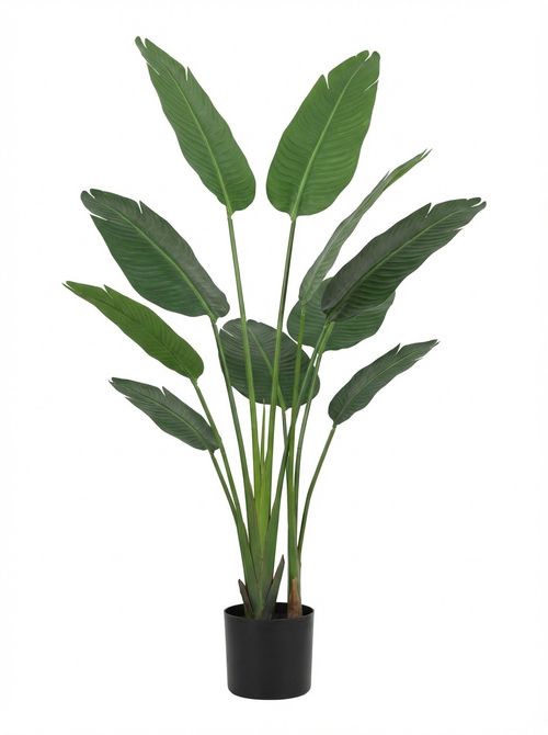 6ft Artificial Strelitzia Plant