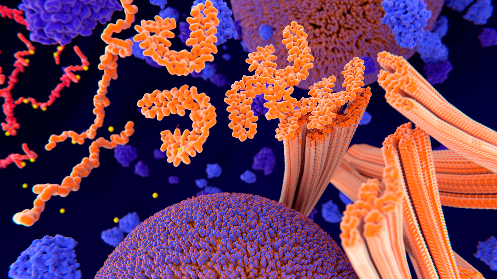 illustration of tau proteins being phosphorylated among other molecules