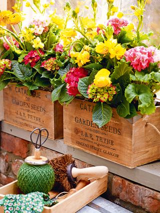 Wooden crates upcycled into container planters