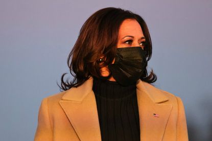 Vice President Kamala Harris at a memorial for victims of the coronavirus (COVID-19) pandemic at the Lincoln Memorial on the eve of the presidential inauguration on January 19, 2021 in Washington, DC