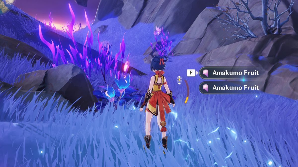 Genshin Impact Amakumo Fruit locations GamesRadar+