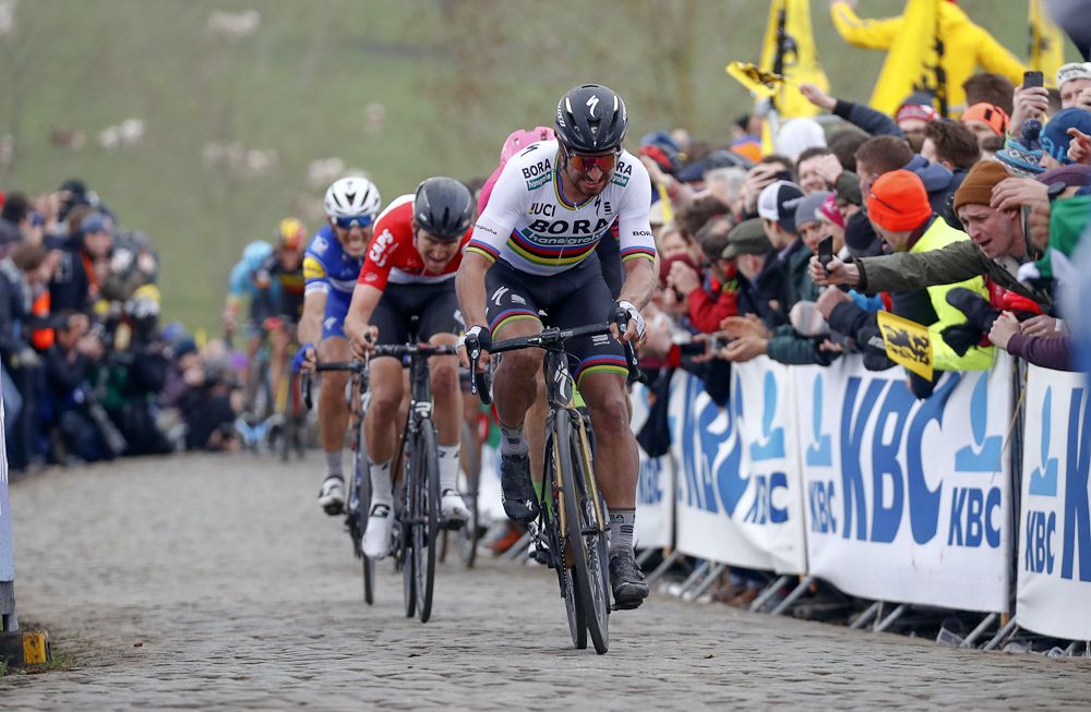 Peter Sagan leads the chase at Tour of Flanders