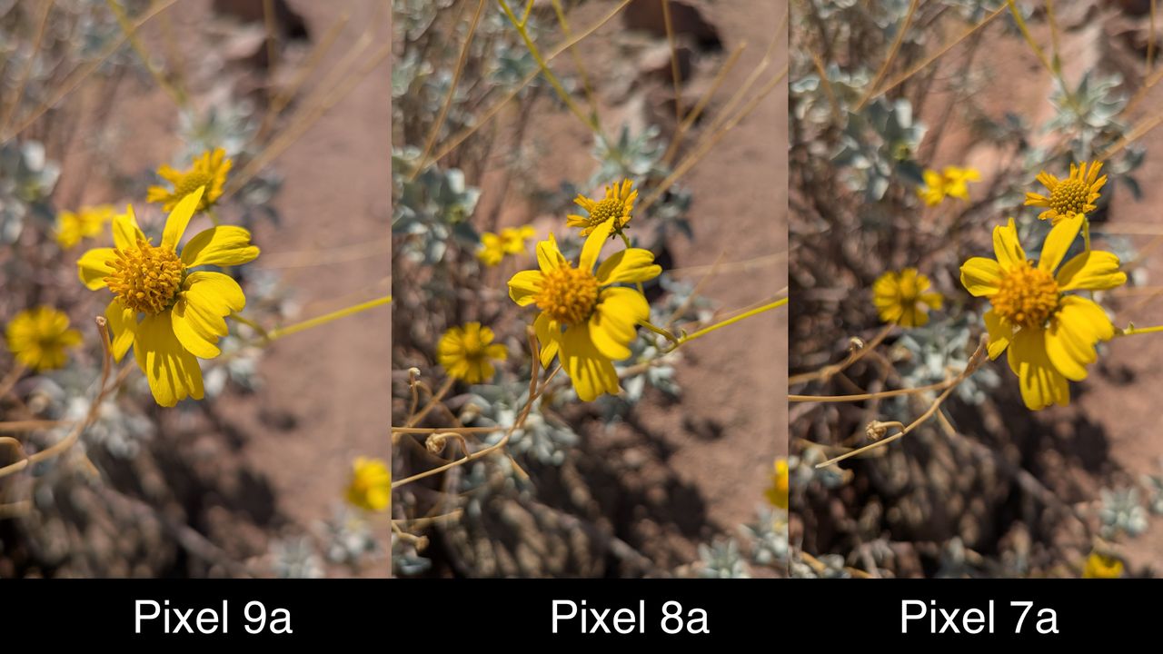 Camera samples comparing the Pixel 9a to the Pixel 8a and Pixel 7a.