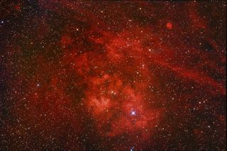 Sh2-115 Emission Nebula