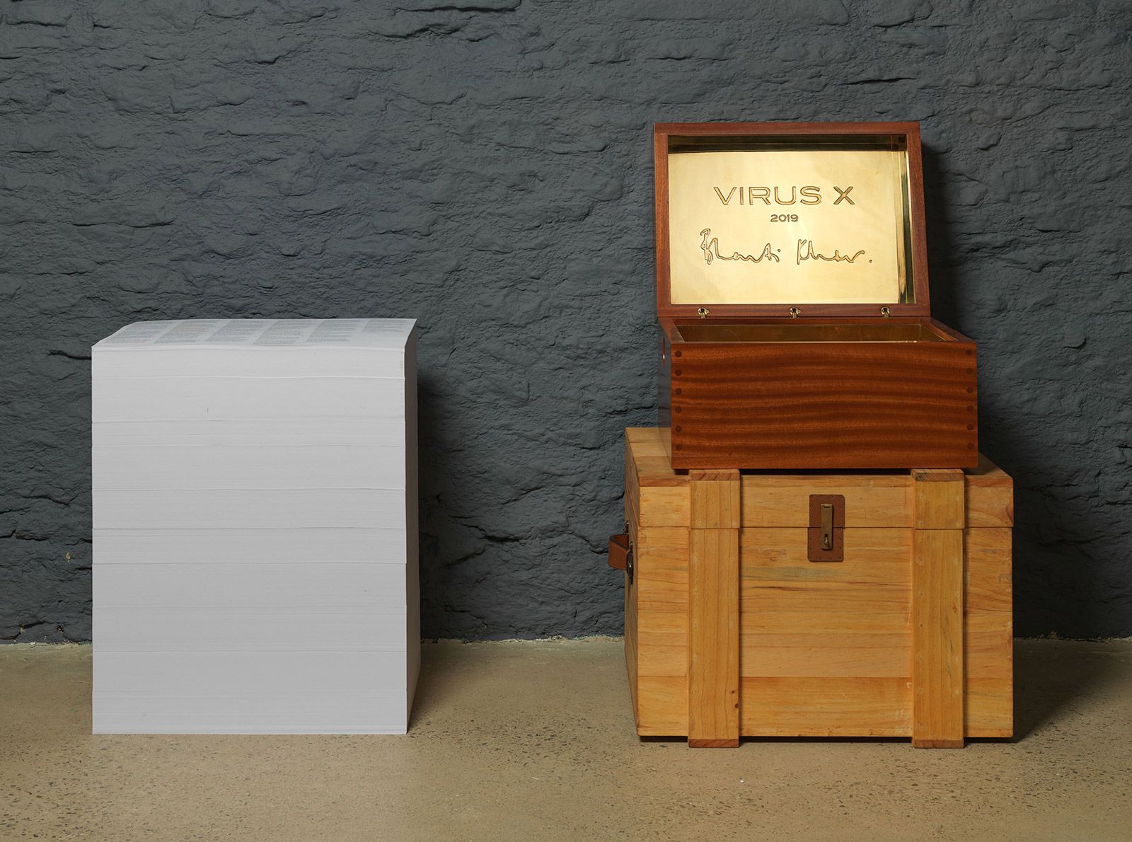 Virus X brings the exhibition full circle