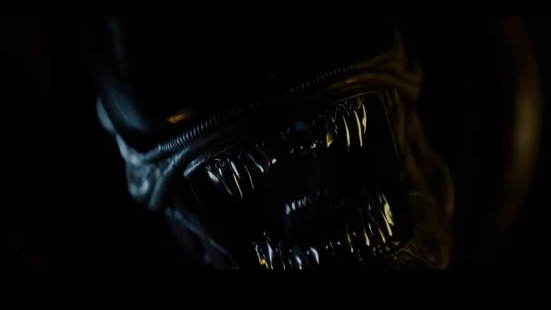 A Xenomorph in Alien: Isolation 2