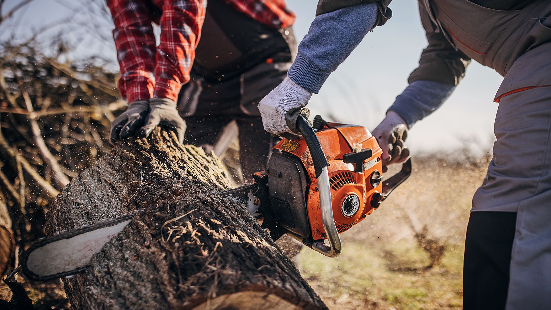 How to tune a chainsaw | Top Ten Reviews