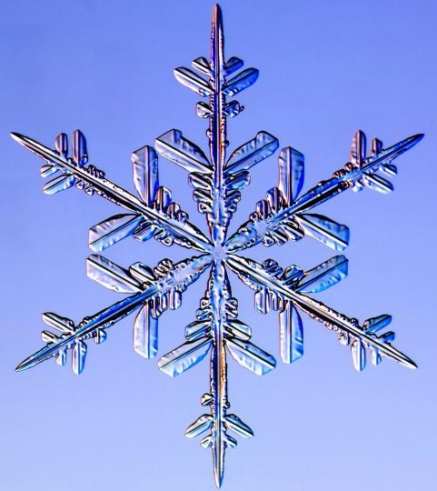 Snow Artist Photographs Flakes Up Close