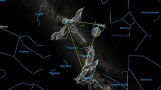 An illustration of the night sky on Aug. 31 depicting the summer triangle.