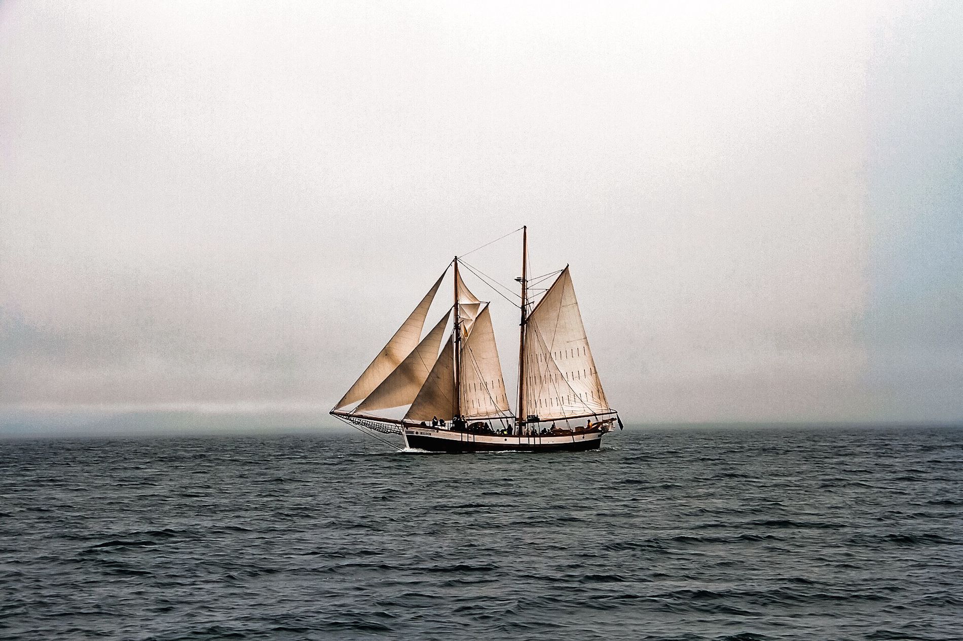 GuruShots - February 2026