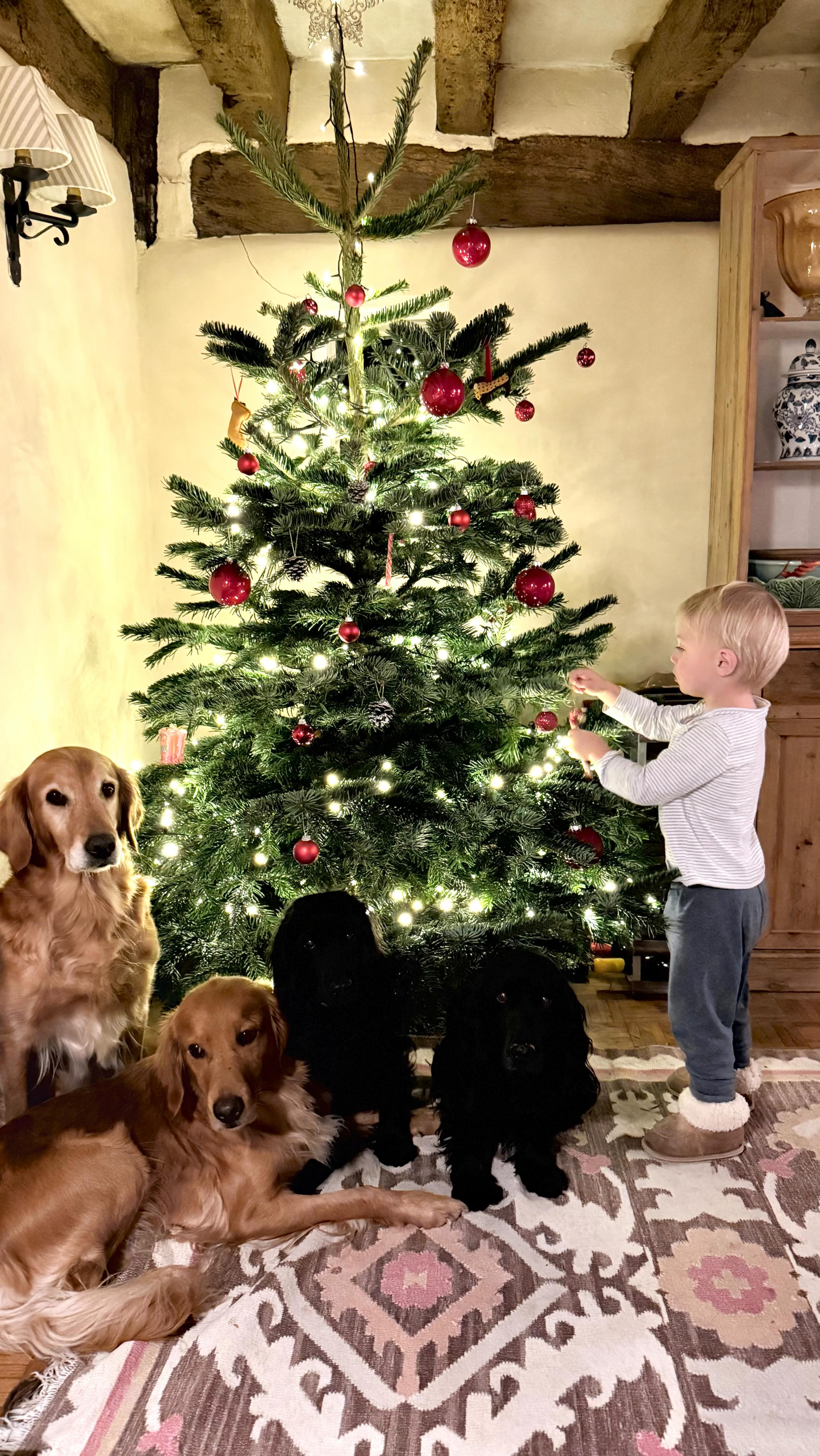 James Middleton Close Family Inigo