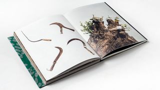 Fastidiosa book about the plant epidemic taking over southern italy from dying olive trees by italian duo photographers