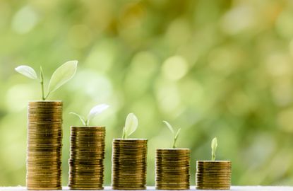 image of stacks of coins with small plants growing more and more on each