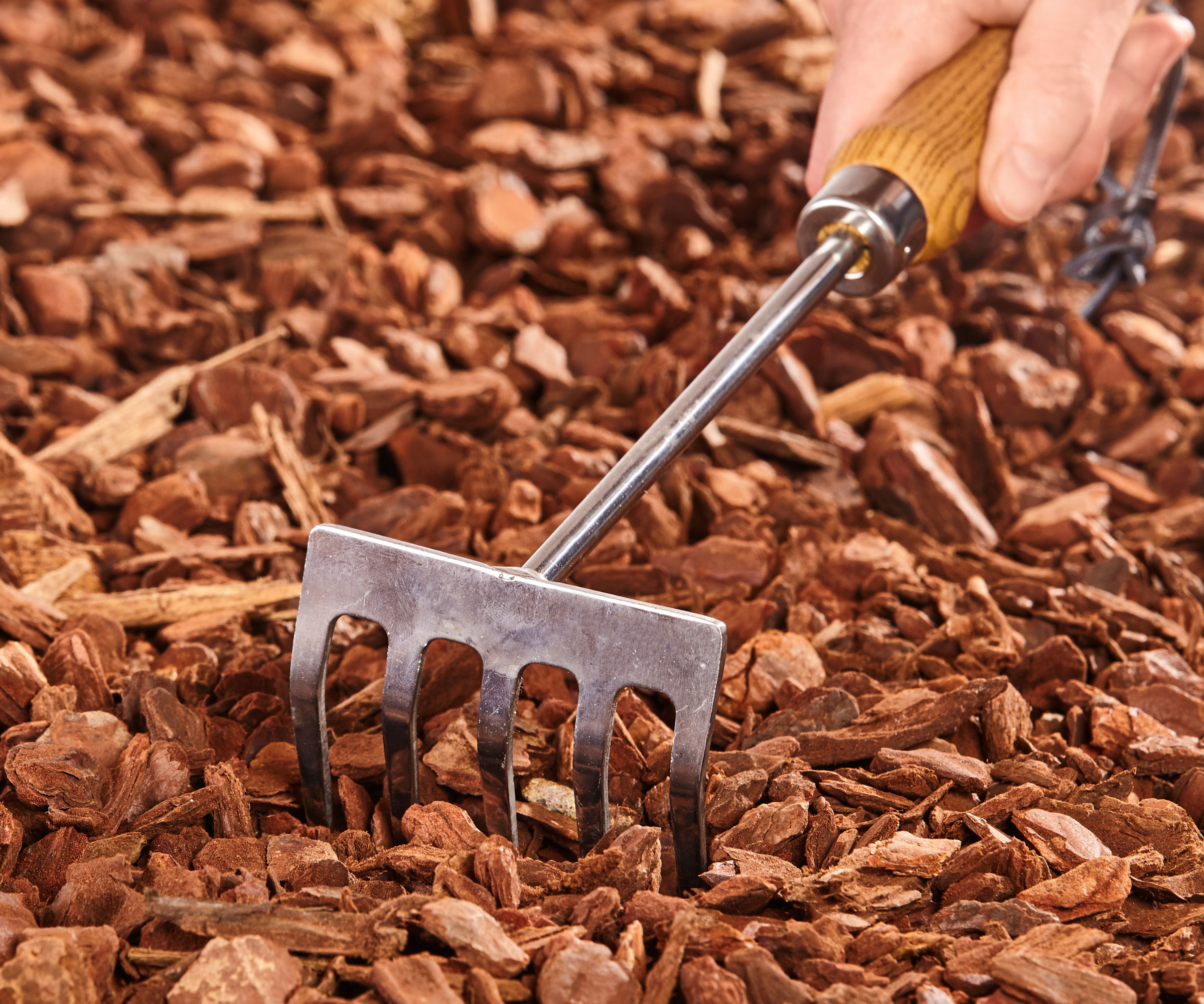 pine mulch nuggets being raked by garden hand fork