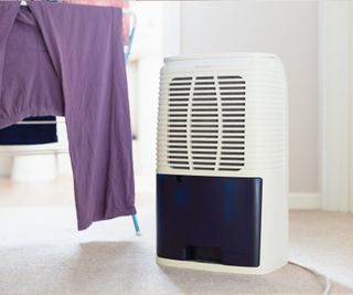 A dehumidifier drying laundry in a laundry room