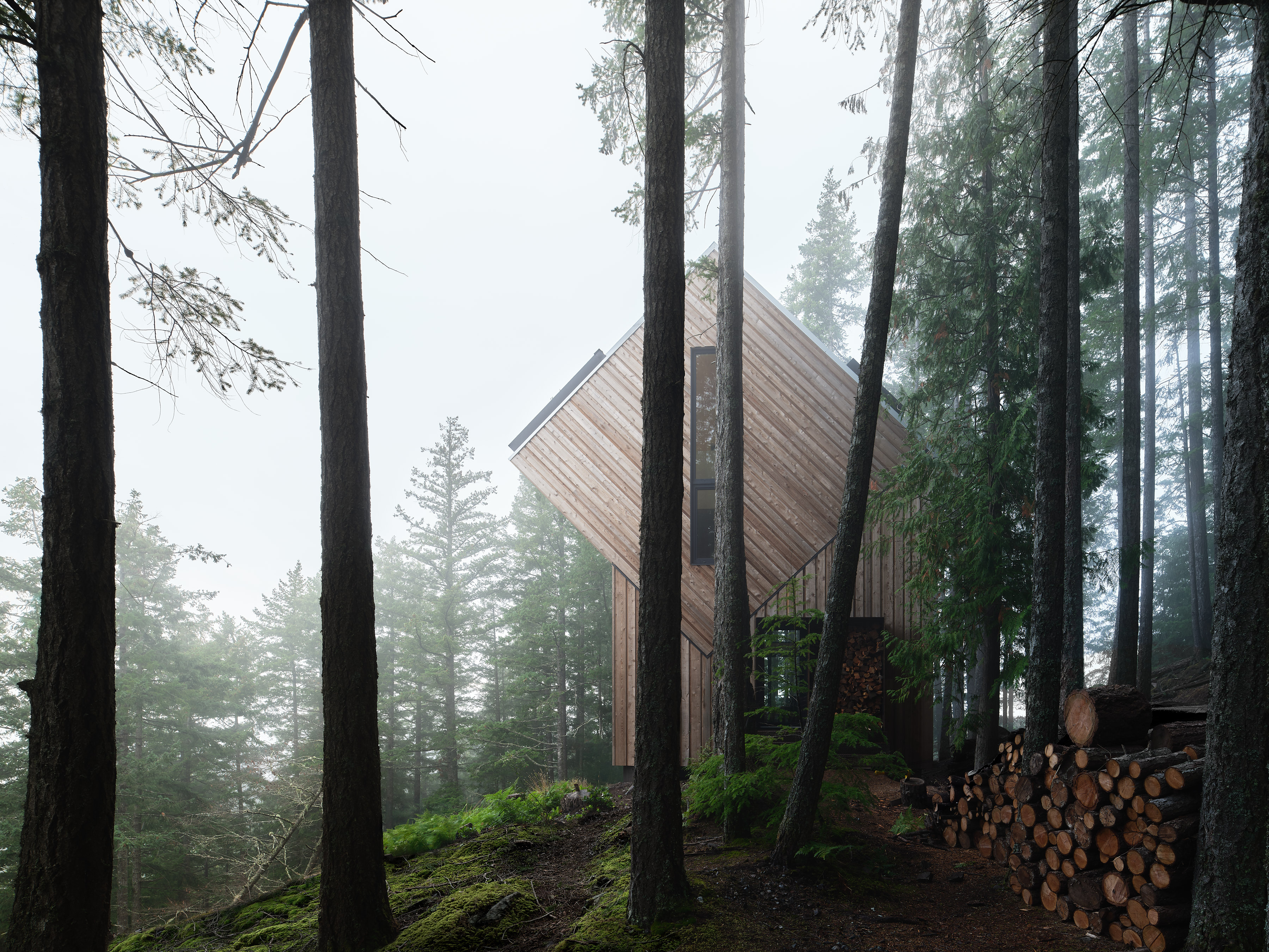 The Nest remote living canada