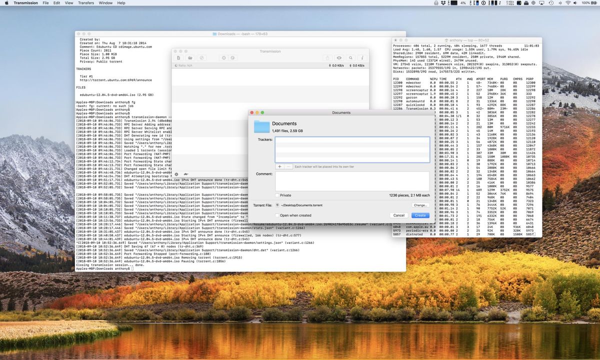 torrent command line mac