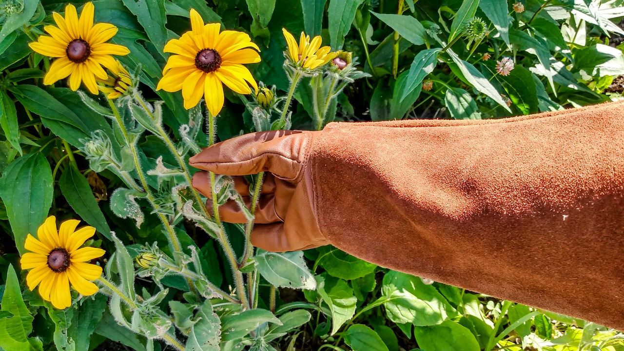Rose Pruning Gloves