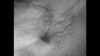 Possible Baby 'Spider' on Mars
