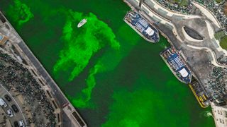 The Chicago River dyed green