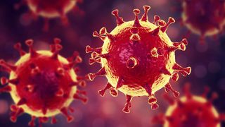 Image result for what does the corona virus look like