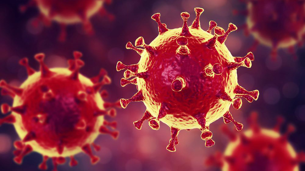 an illustration of the MERS virus, a type of coronavirus