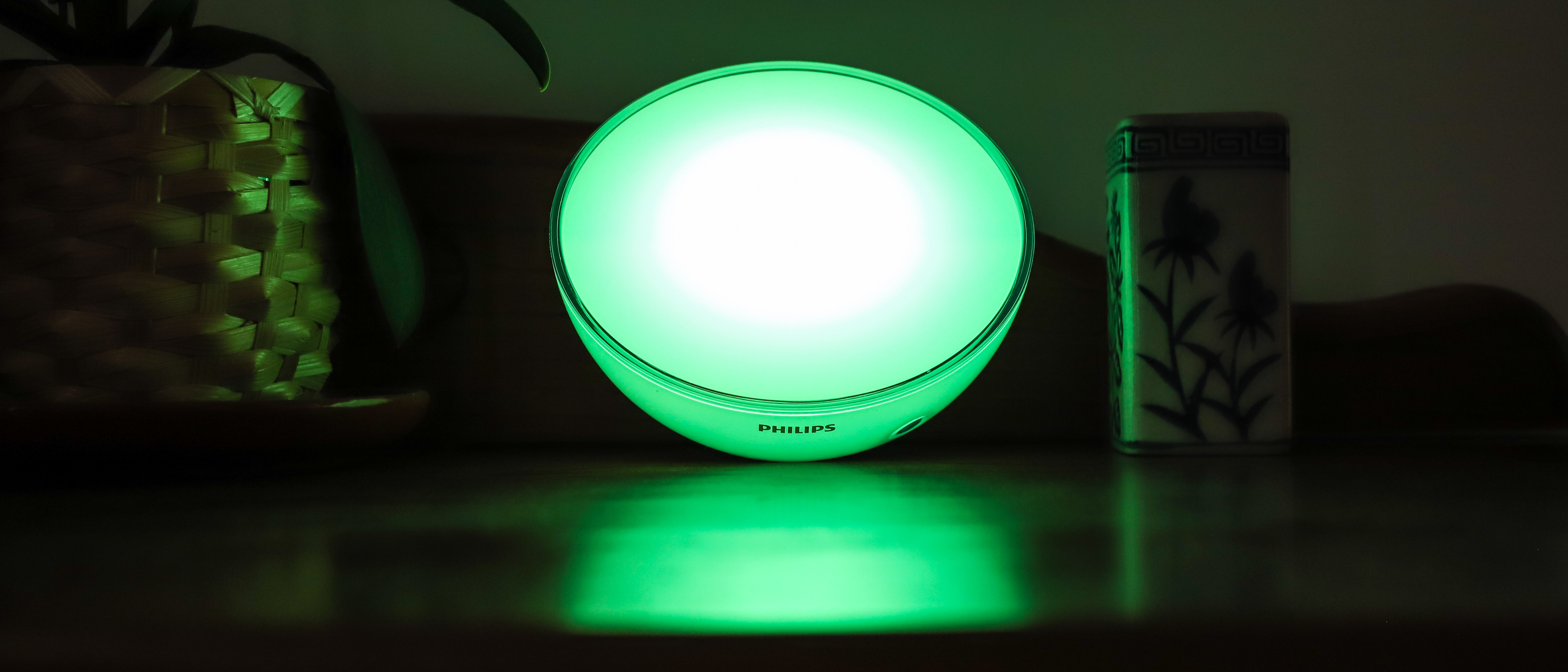 Can you replace the bulb on the Philips Hue Go?