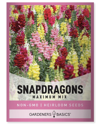 snapdragon seeds