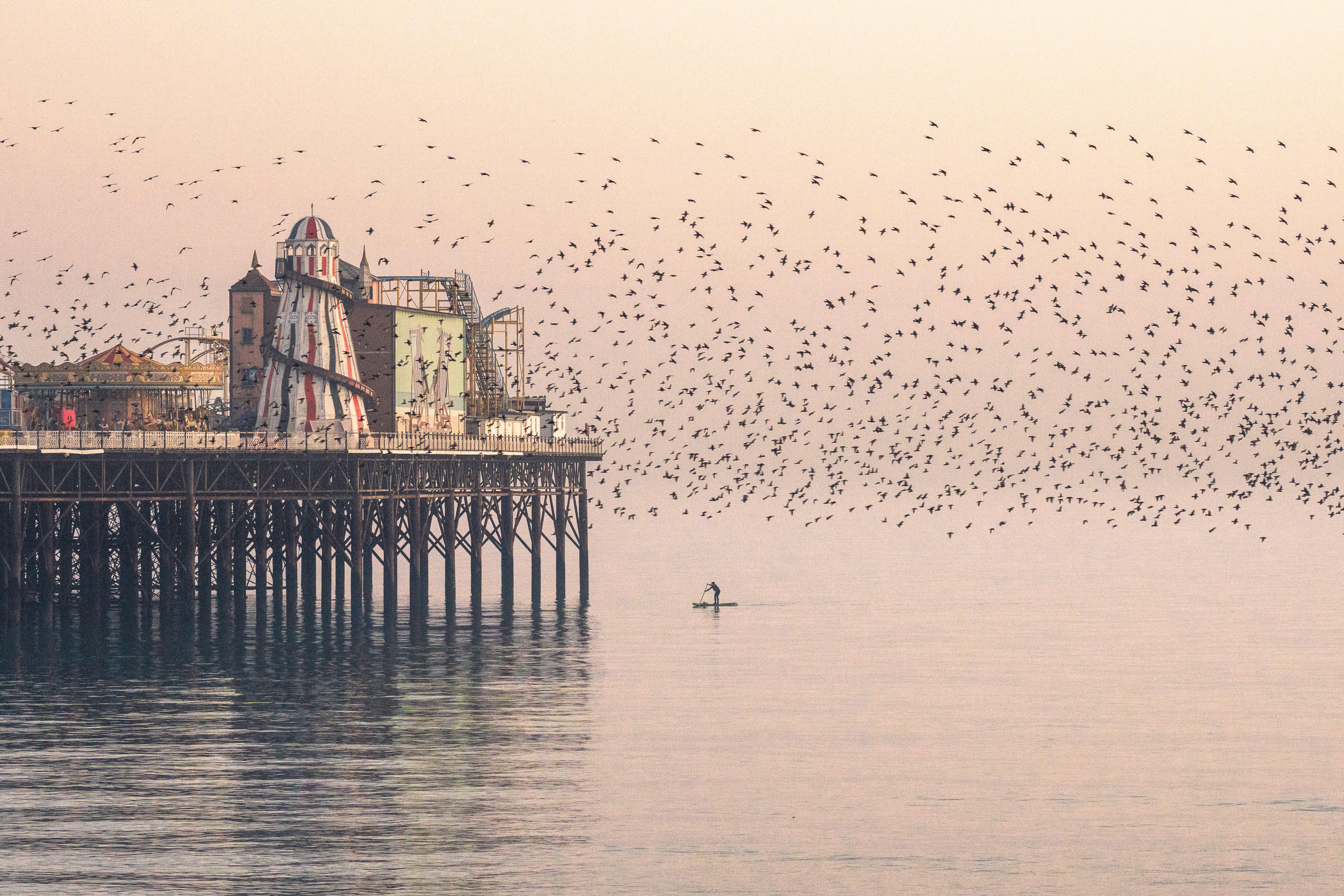 Pier
