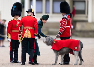 Kate Middleton leaning forward and petting a dog at the 2025 St. Patrick's Day parade