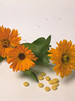 flowers medicine natural remedy pills vitamins BIG MC