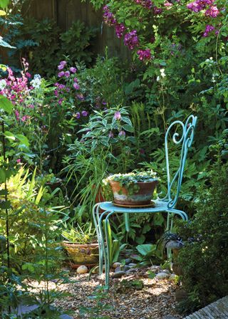 pretty vignette in shade garden, with a blue garden chair and plants