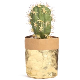 gold foil cactus plant with white background
