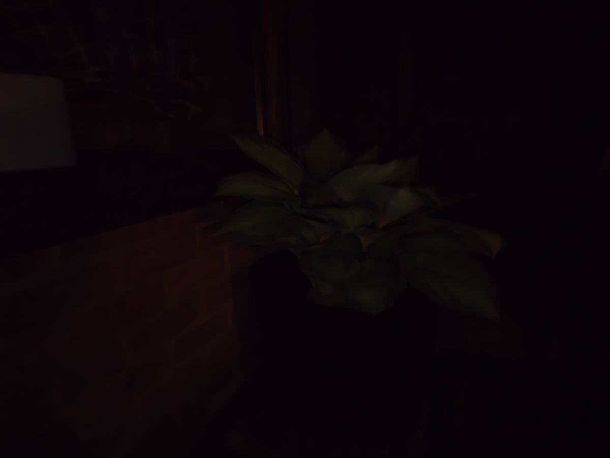 pixel 10 vs nothing phone 4a pro low light shoot out