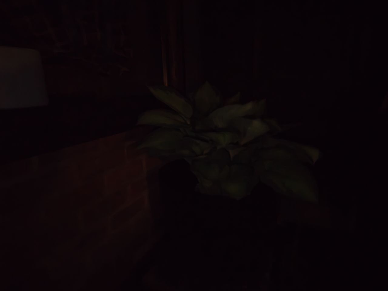pixel 10 vs nothing phone 4a pro low light shoot out