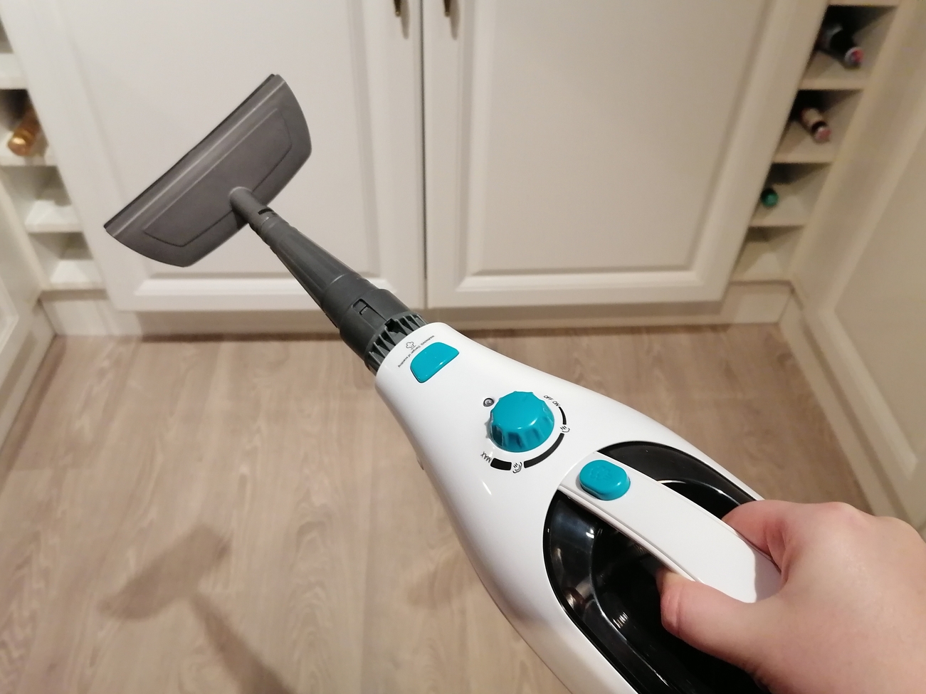 Best steam cleaners 2020: great steam mops for any budget and all floor types