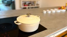 Testing the Habitat Cast Iron Casserole Dish 