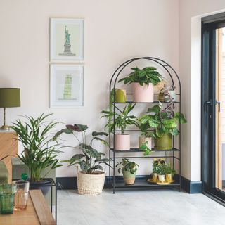 Light pink painted dining room area with a arched plant stand full of plants and pictures on the wall