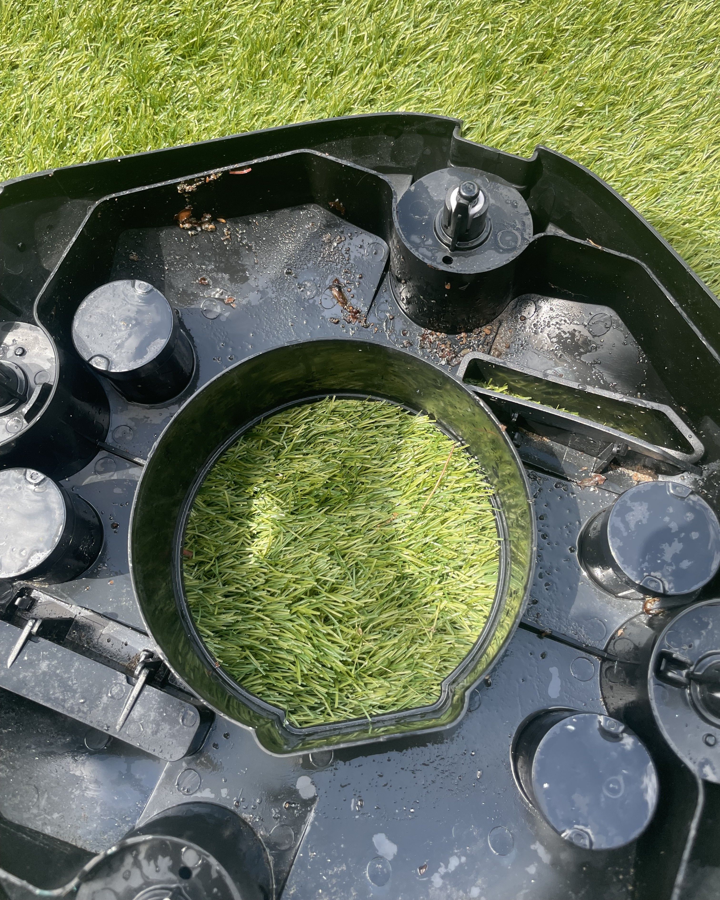 The inside of a robot pool cleaner after being emptied