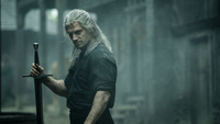   The Witcher