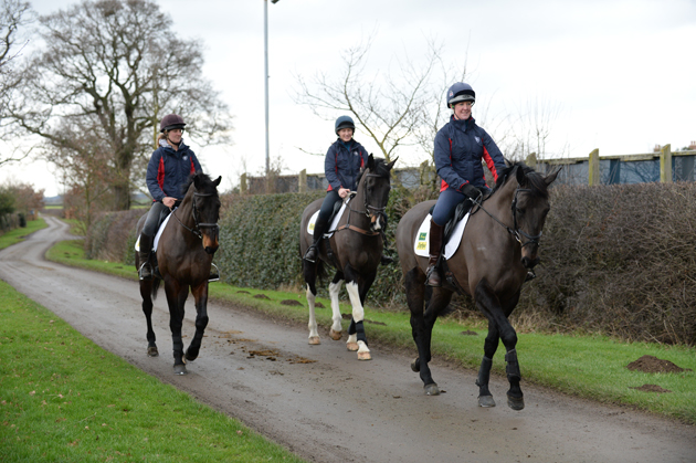 Nicola Wilson Yard Visit 07 01 2015