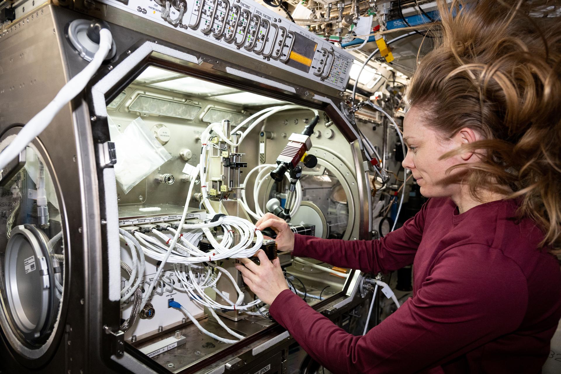 A woman wearing a red shirt reaches into an area with a bunch of white wires.