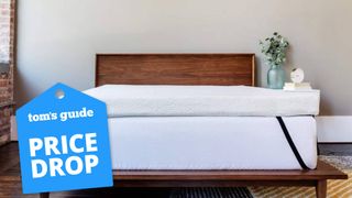 ViscoSoft mattress topper